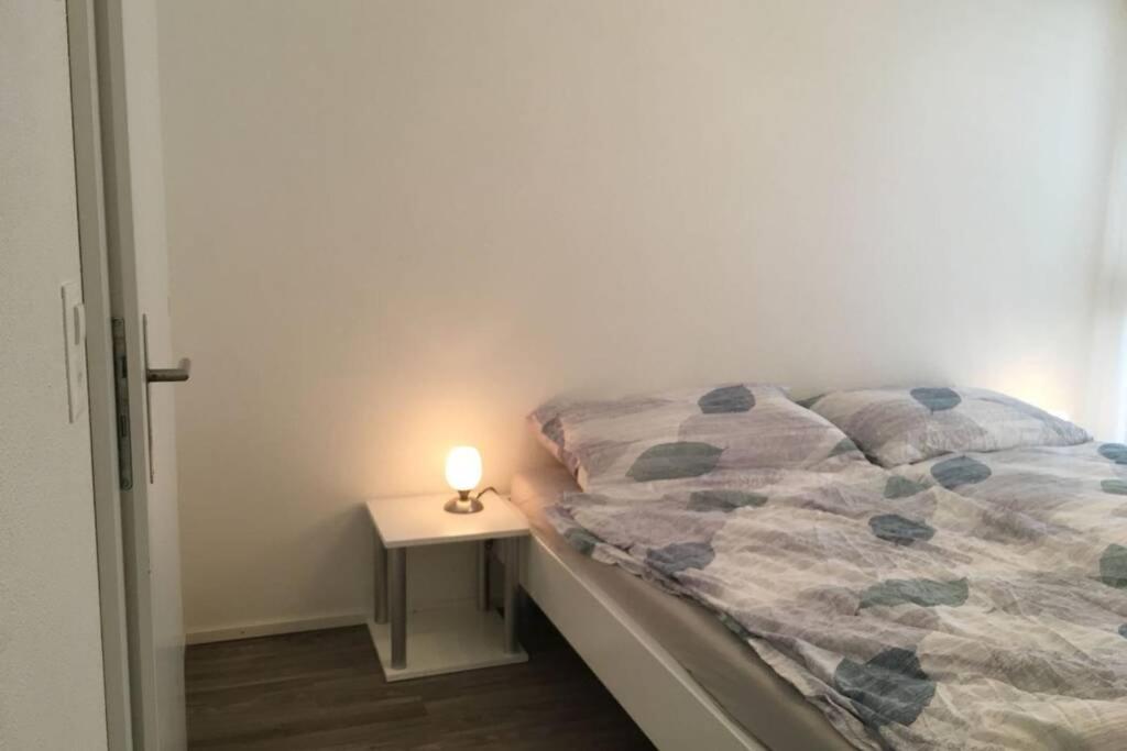 Modern Apartment 모던 펜션 Interlaken Ngoại thất bức ảnh